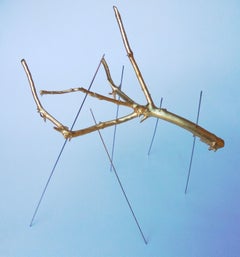 Handmade Golden Rami Sospesi Sculpture by Le Meduse