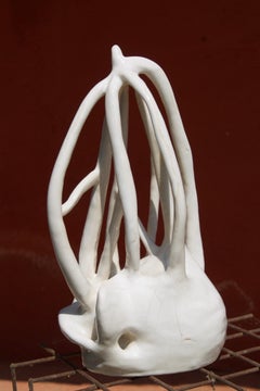 Handmade IOS C. Structure by Le Meduse