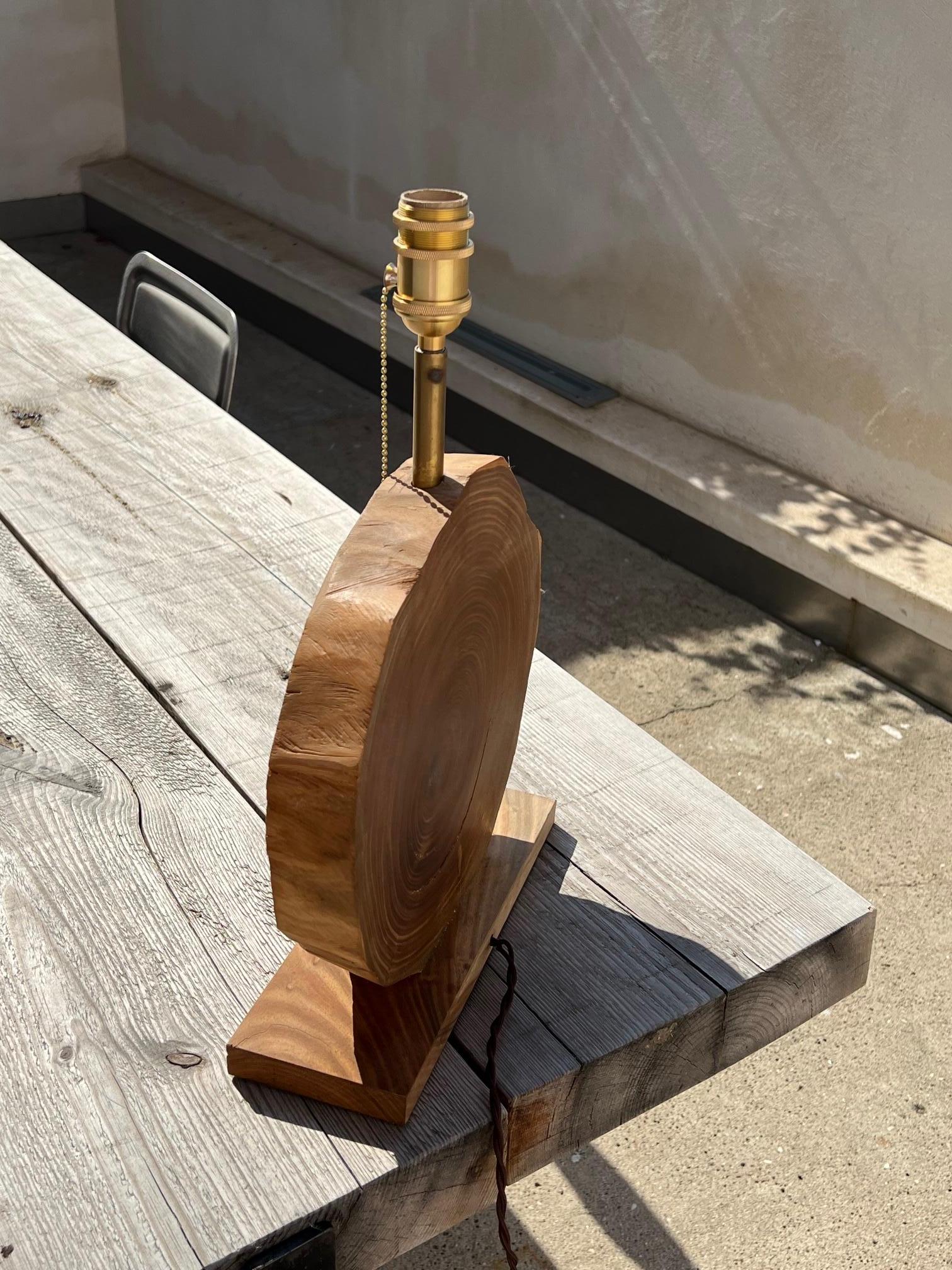 Brass Handmade Manolo Eirin Table Lamp in Palo Santo Wood, Wabi Sabi Home For Sale