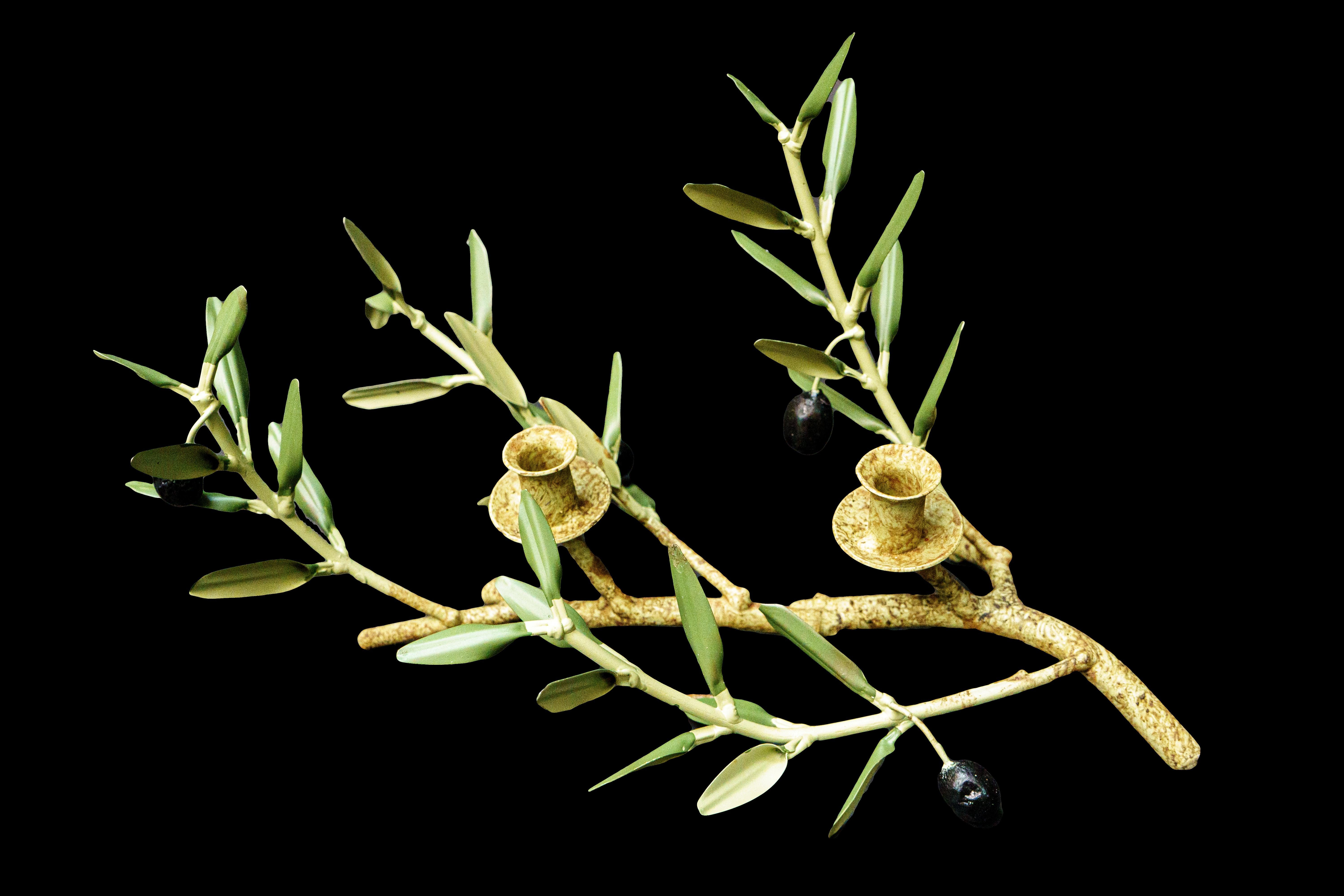 Français Bougeoir à branches d'olivier fait à la main en Provence en vente