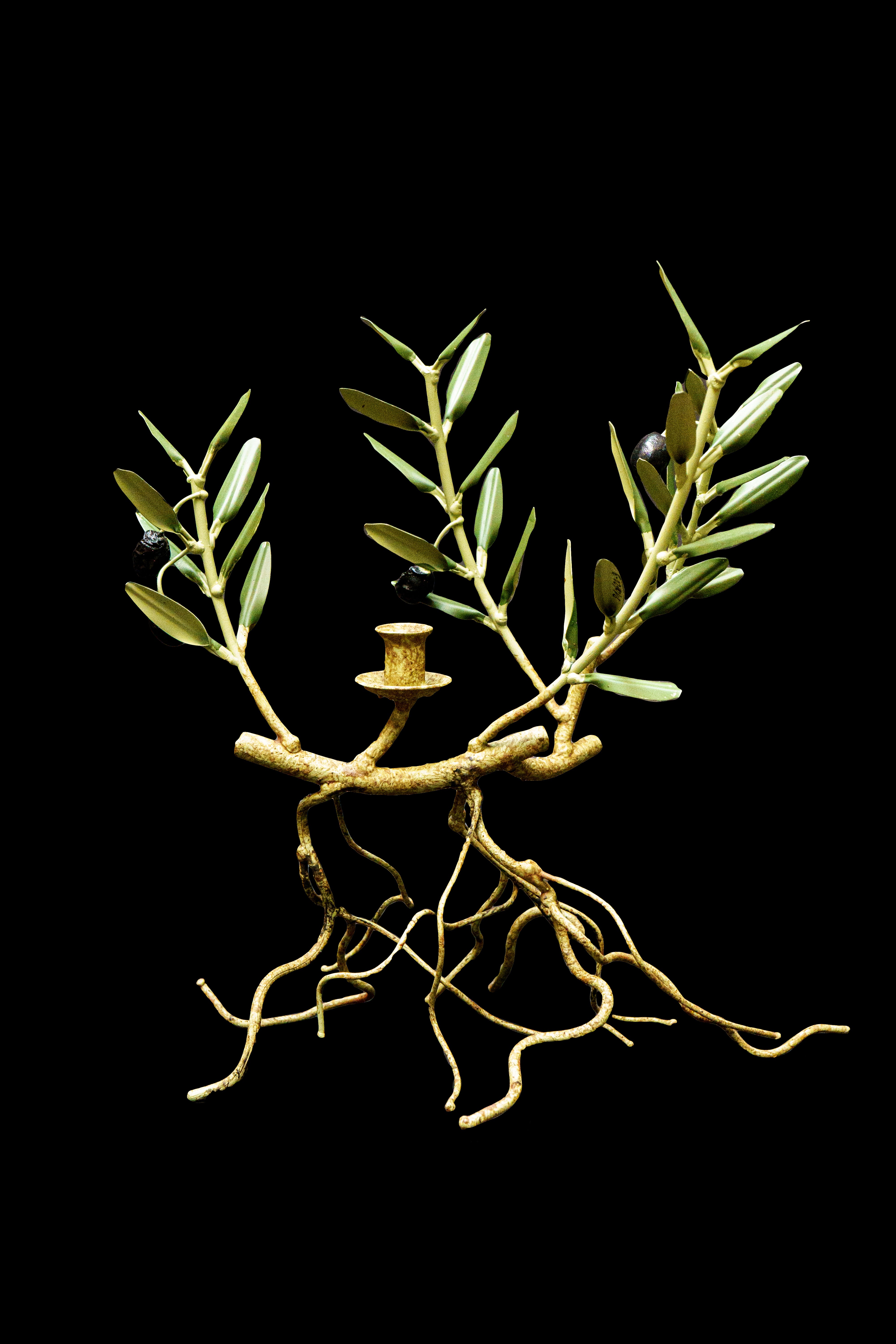 Der mit viel Liebe zum Detail gefertigte Kerzenständer Olive Branch with Roots ist ein Zeugnis für die exquisite Handwerkskunst der französischen Provence. Mit einer Länge und Tiefe von 8 Zoll und einer Höhe von 6 Zoll bilden seine Abmessungen ein