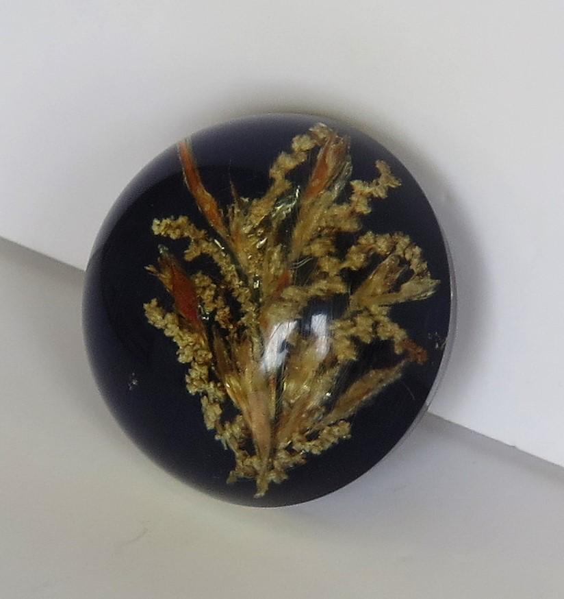Handmade Paperweight Encased and Suspended Real Country Grasses, 20th Century 3