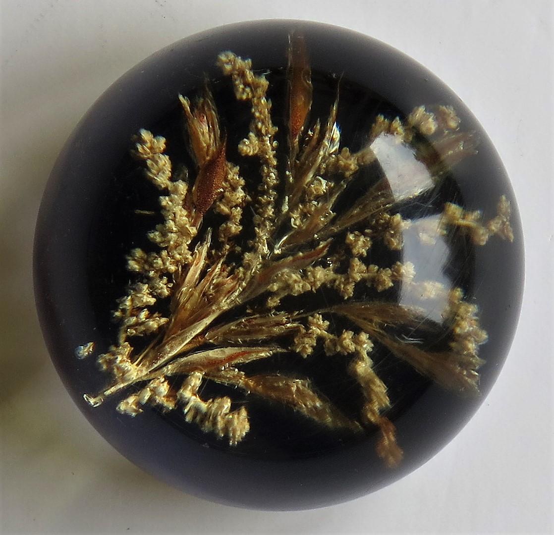 Folk Art Handmade Paperweight Encased and Suspended Real Country Grasses, 20th Century