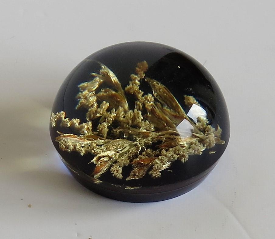 Handmade Paperweight Encased and Suspended Real Country Grasses, 20th Century In Good Condition In Lincoln, Lincolnshire