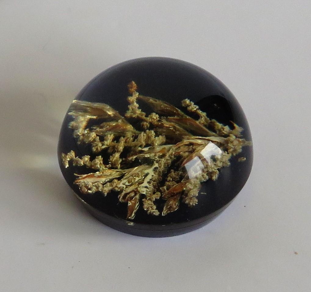 Handmade Paperweight Encased and Suspended Real Country Grasses, 20th Century 1