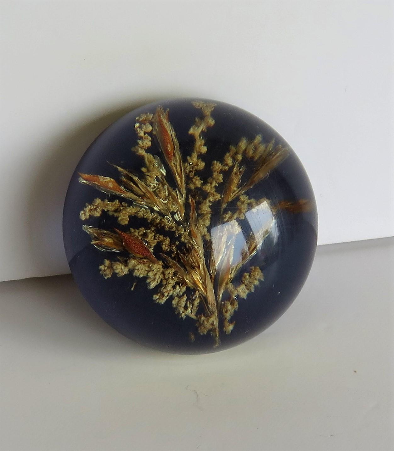 Handmade Paperweight Encased and Suspended Real Country Grasses, 20th Century 2