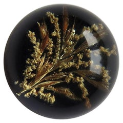 Handmade Paperweight Encased and Suspended Real Country Grasses, 20th Century
