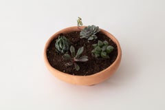 Handmade Red Clay Dish Foot Planter Unique Edition