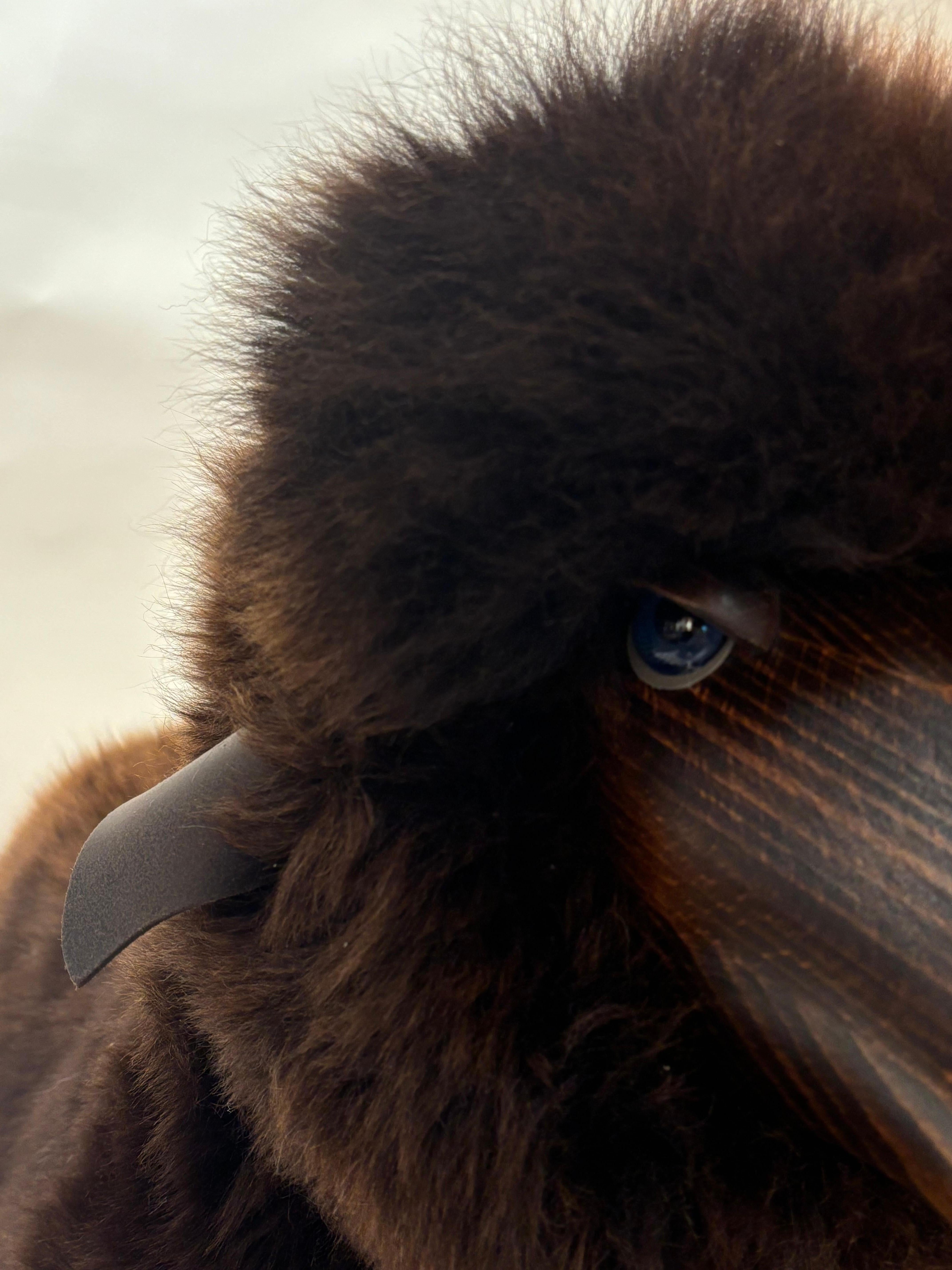 Handmade sheep in brown fur and teak wood by Hans Peter Krafft, Meier Germany. en vente 1