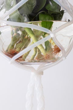 Handmade Silicone Plant Hanger Unique Edition