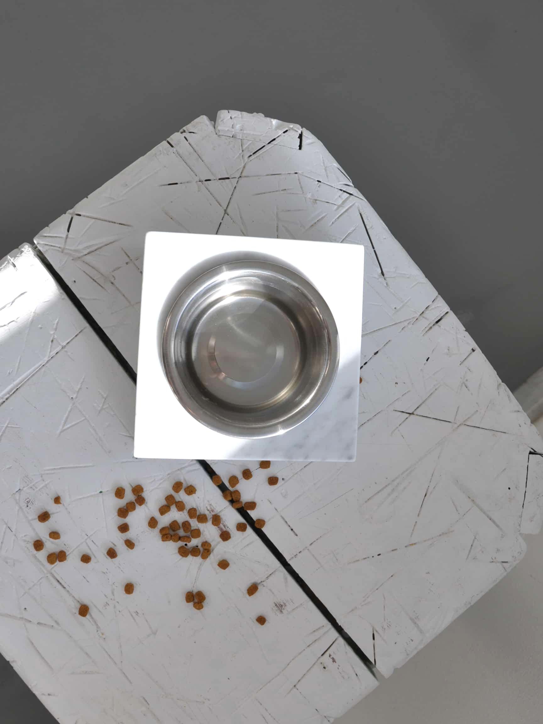 Handgefertigte, quadratische Schale für Katzen oder Hunde aus weißem Carrara-Marmor mit abnehmbarem Stahl im Angebot 1