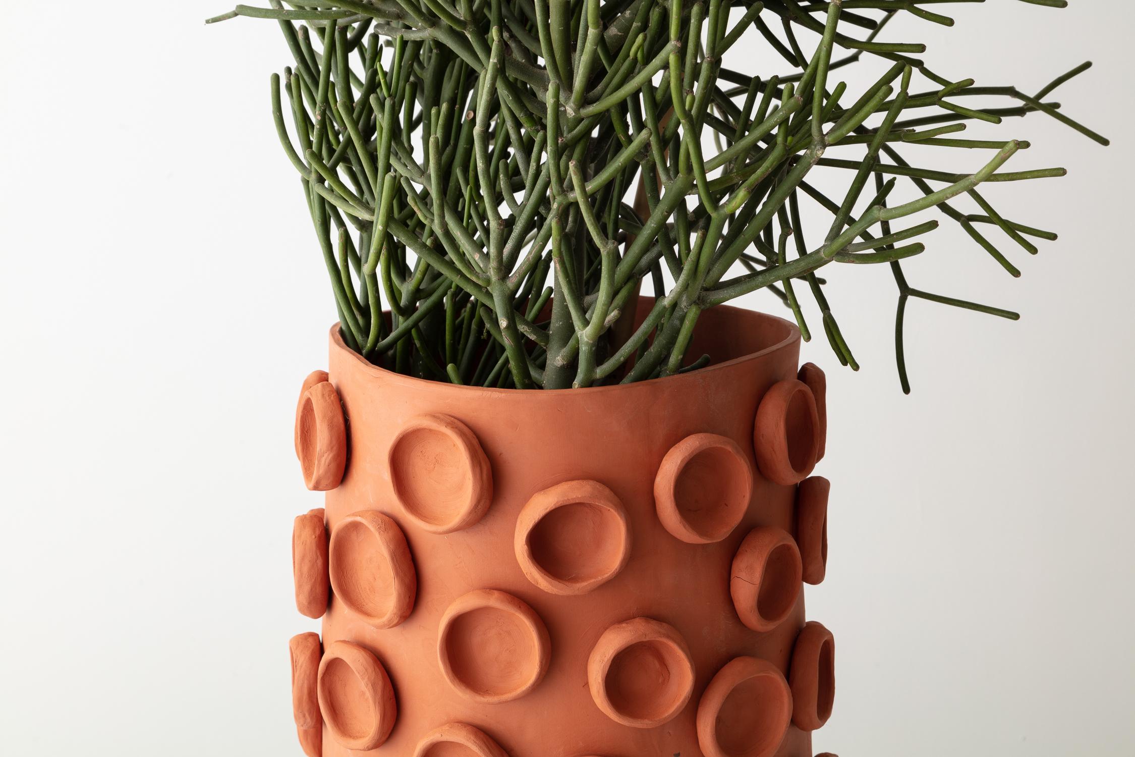 unique terracotta pots