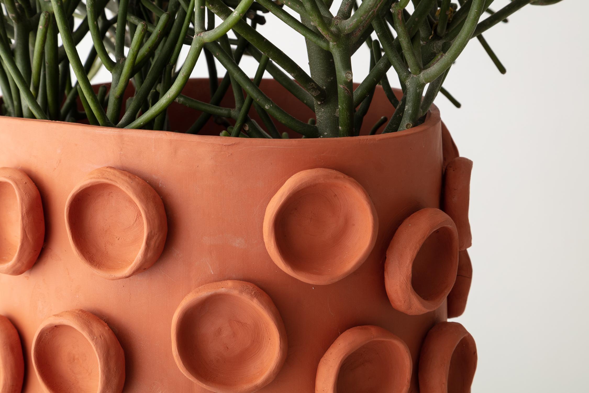 Modern Handmade Terracotta Cylinder Planter with Pencil Cactus Unique Edition