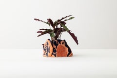 Jardinière en terre cuite faite à la main « Tulipe Pot »