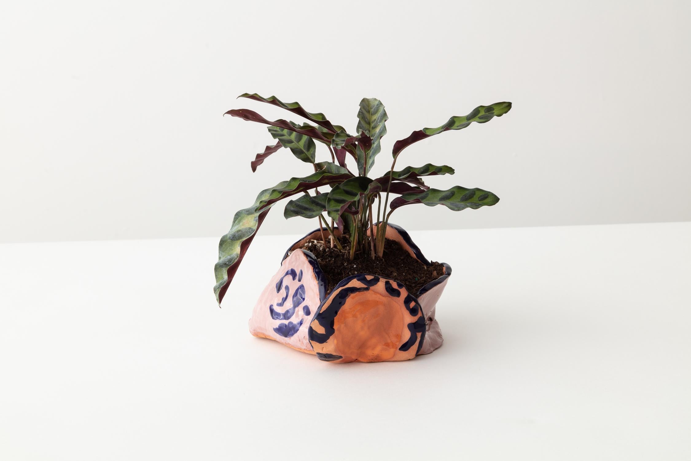 Handgefertigter Terrakotta-Pflanzgefäß „Tulpentopf“ (amerikanisch) im Angebot