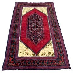 Western European Rugs