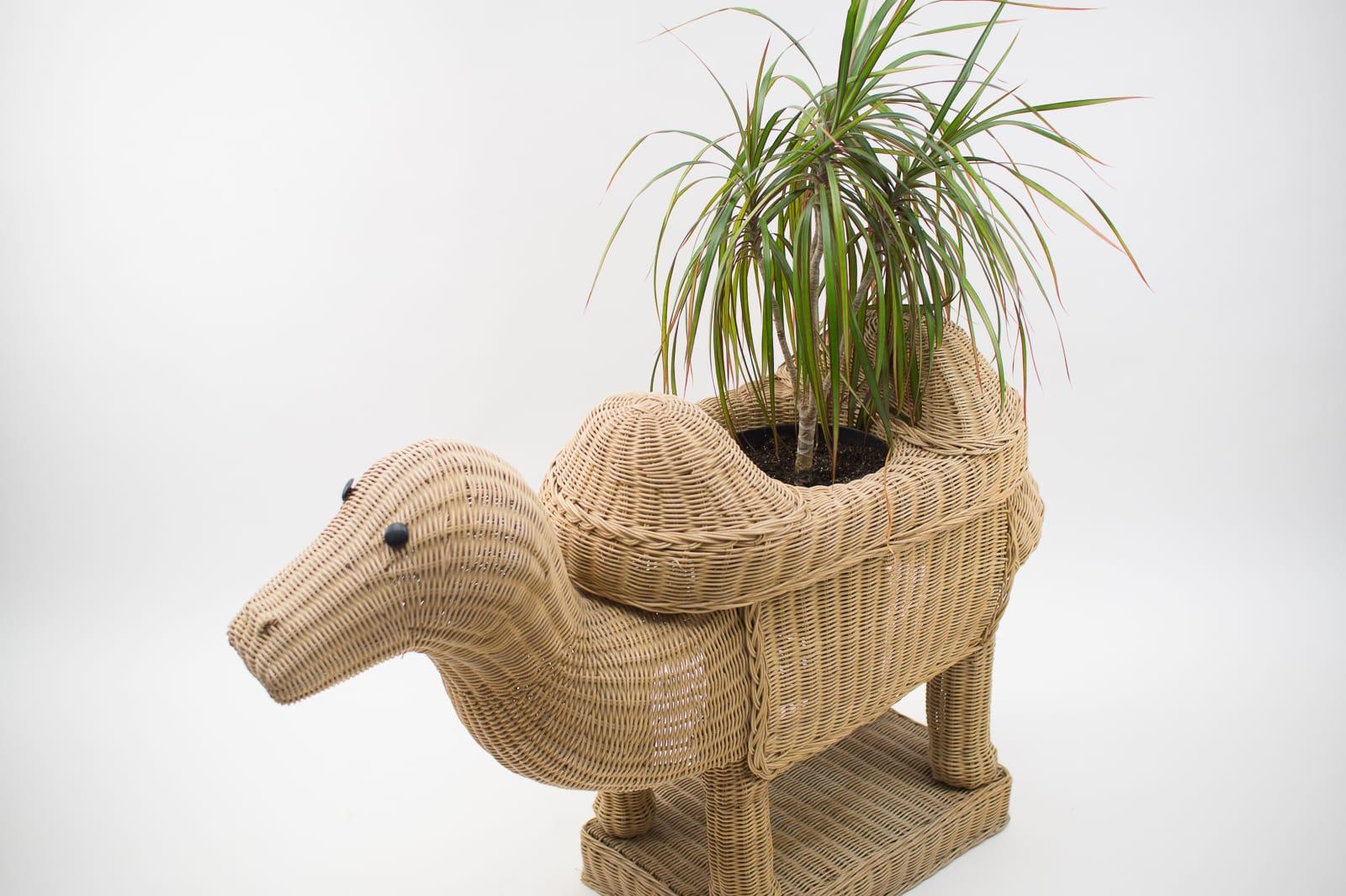 Handmade Vintage Rattan Camel Planter, Italy, 1960s For Sale 8