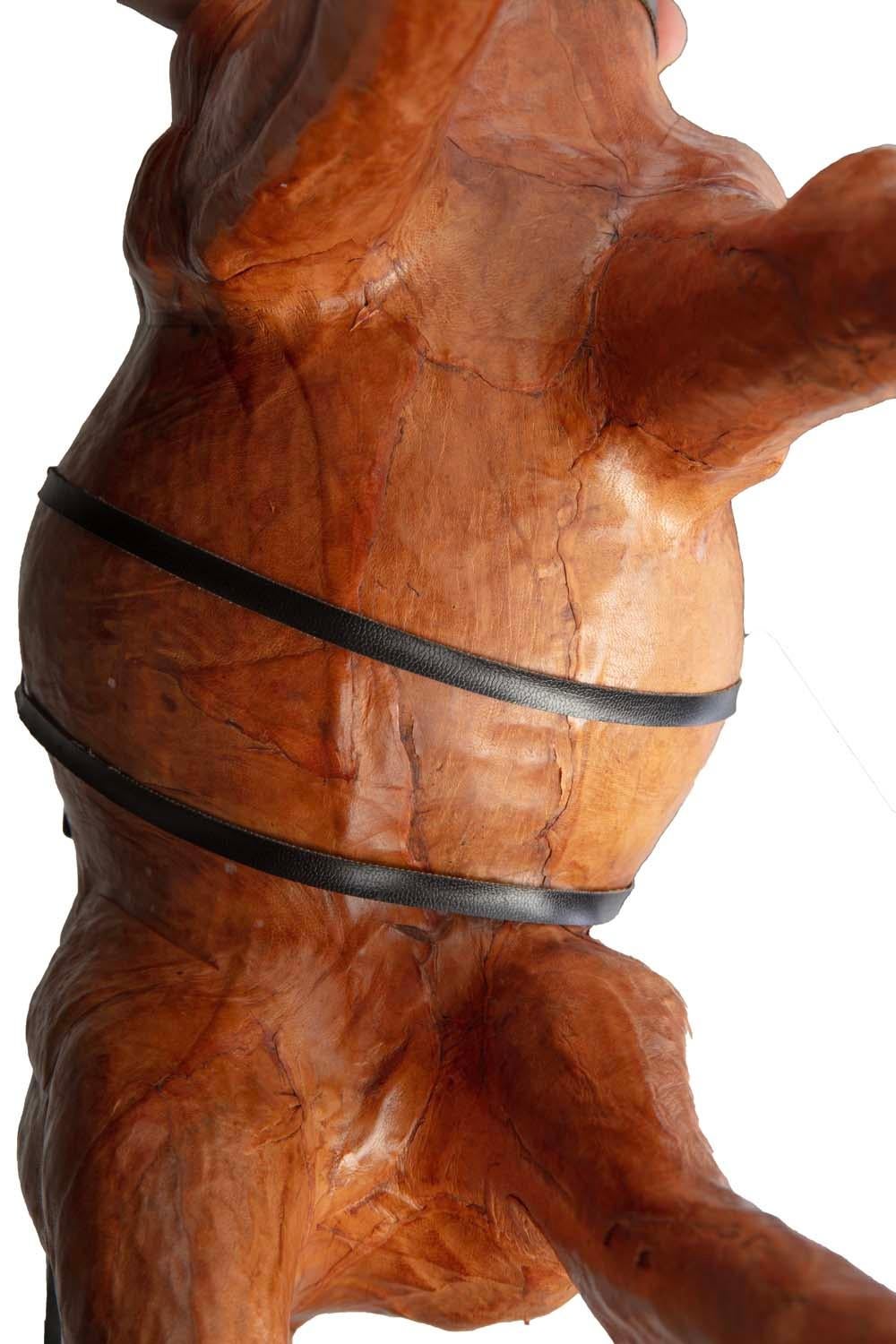 Handsome Dromedary Leather Camel For Sale 4