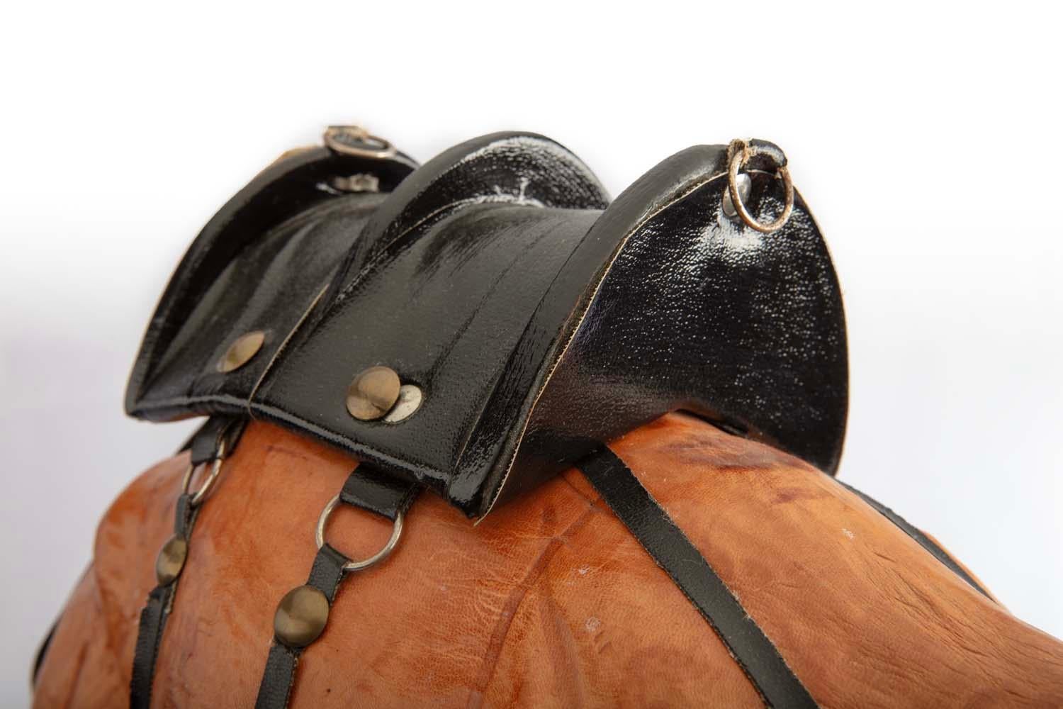 Handsome Dromedary Leather Camel For Sale 2