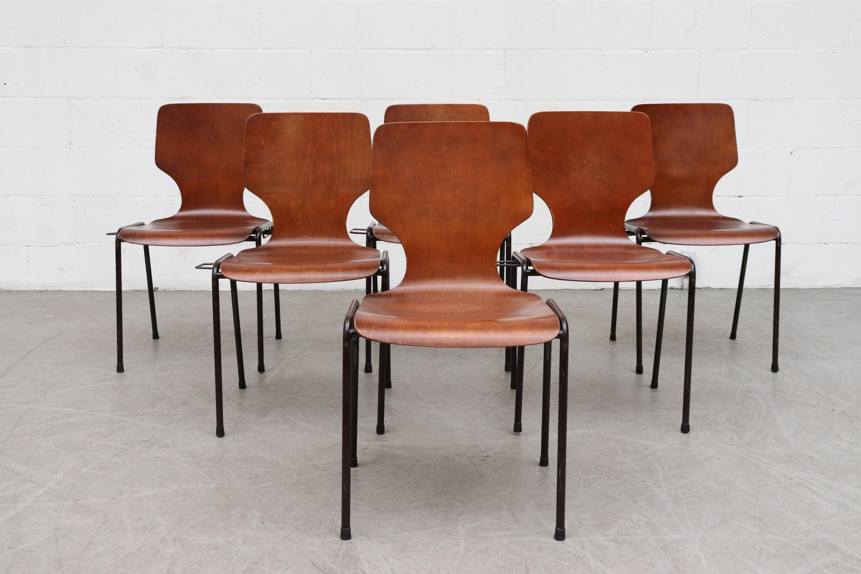 Fritz Hansen butterfly style teak toned wingback stacking chairs. Beautifully curved shell seat with tubular enameled metal frame. Chairs can interlock to create a stationary row. In original condition with visible signs of wear including some