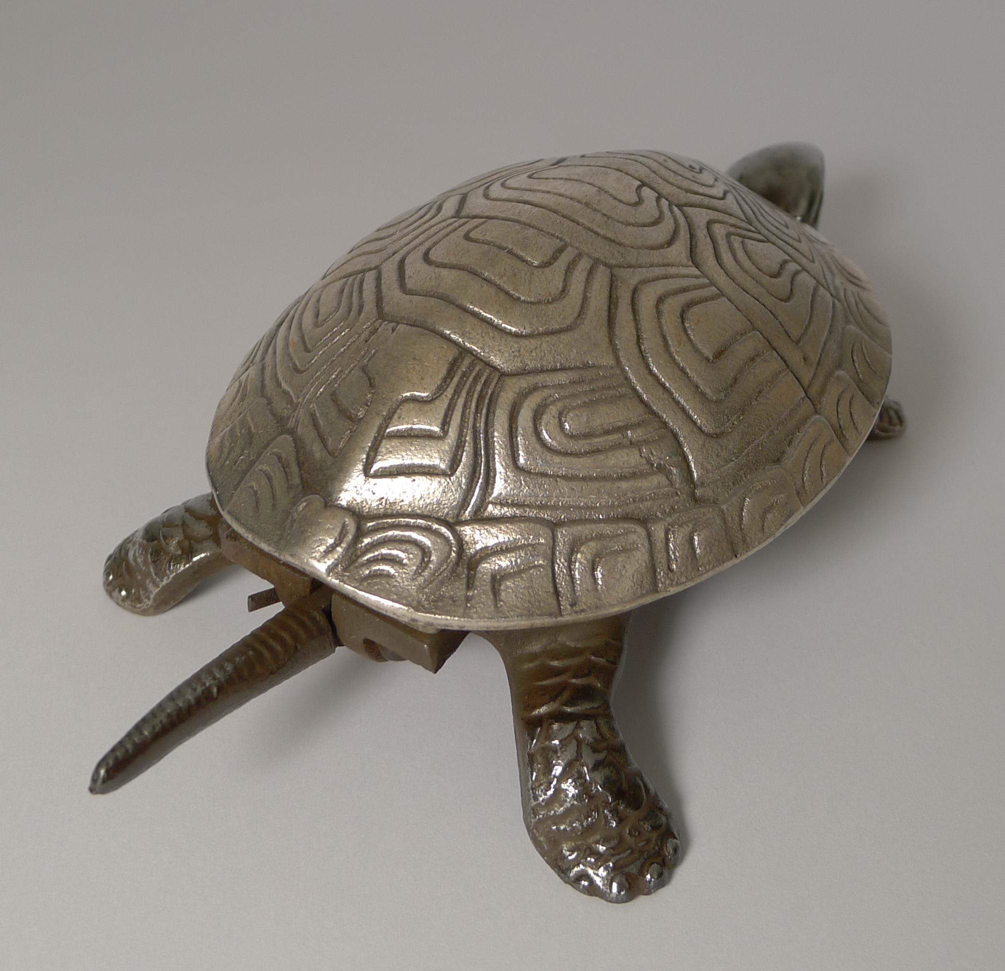 tortoise bell