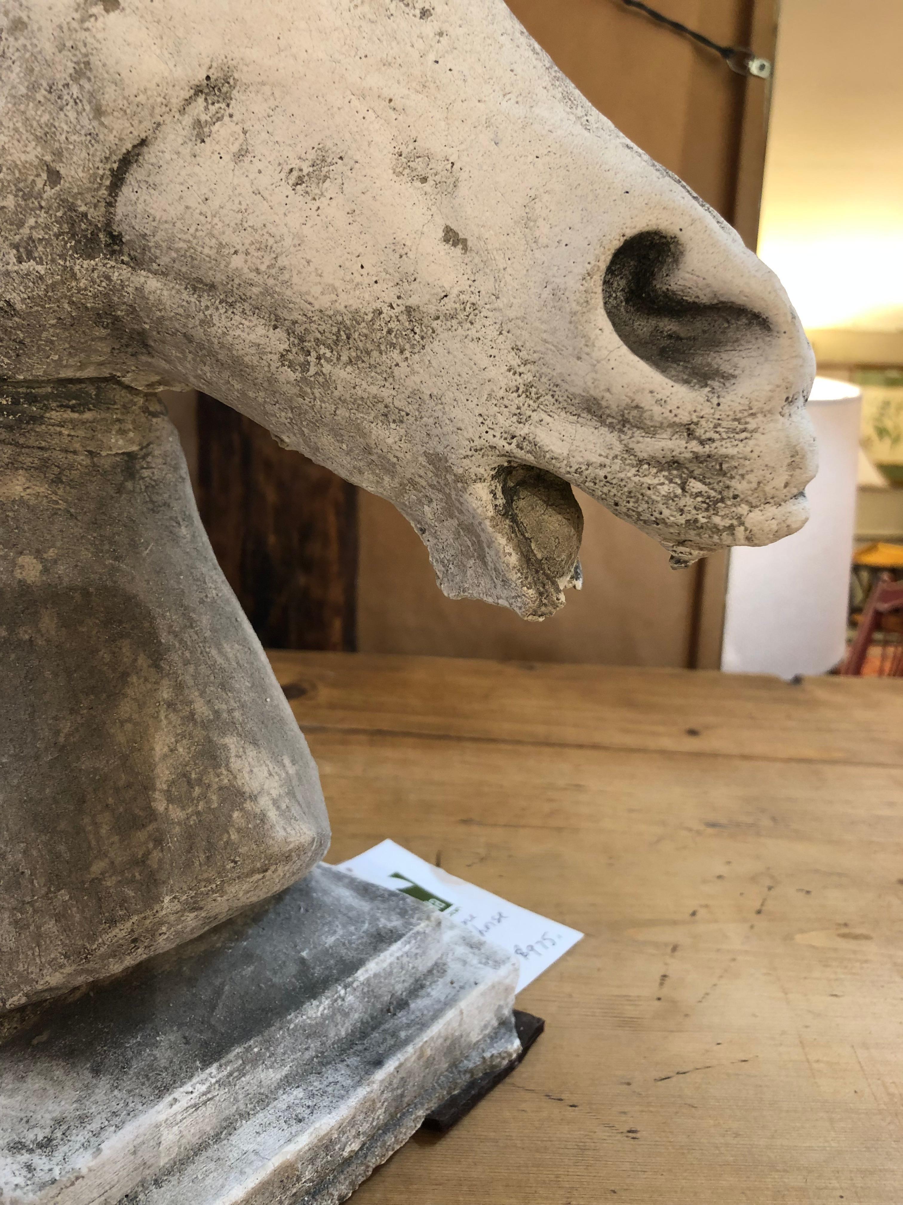 Bonita escultura de cemento de gran tamaño de una cabeza de caballo mediados del siglo XX