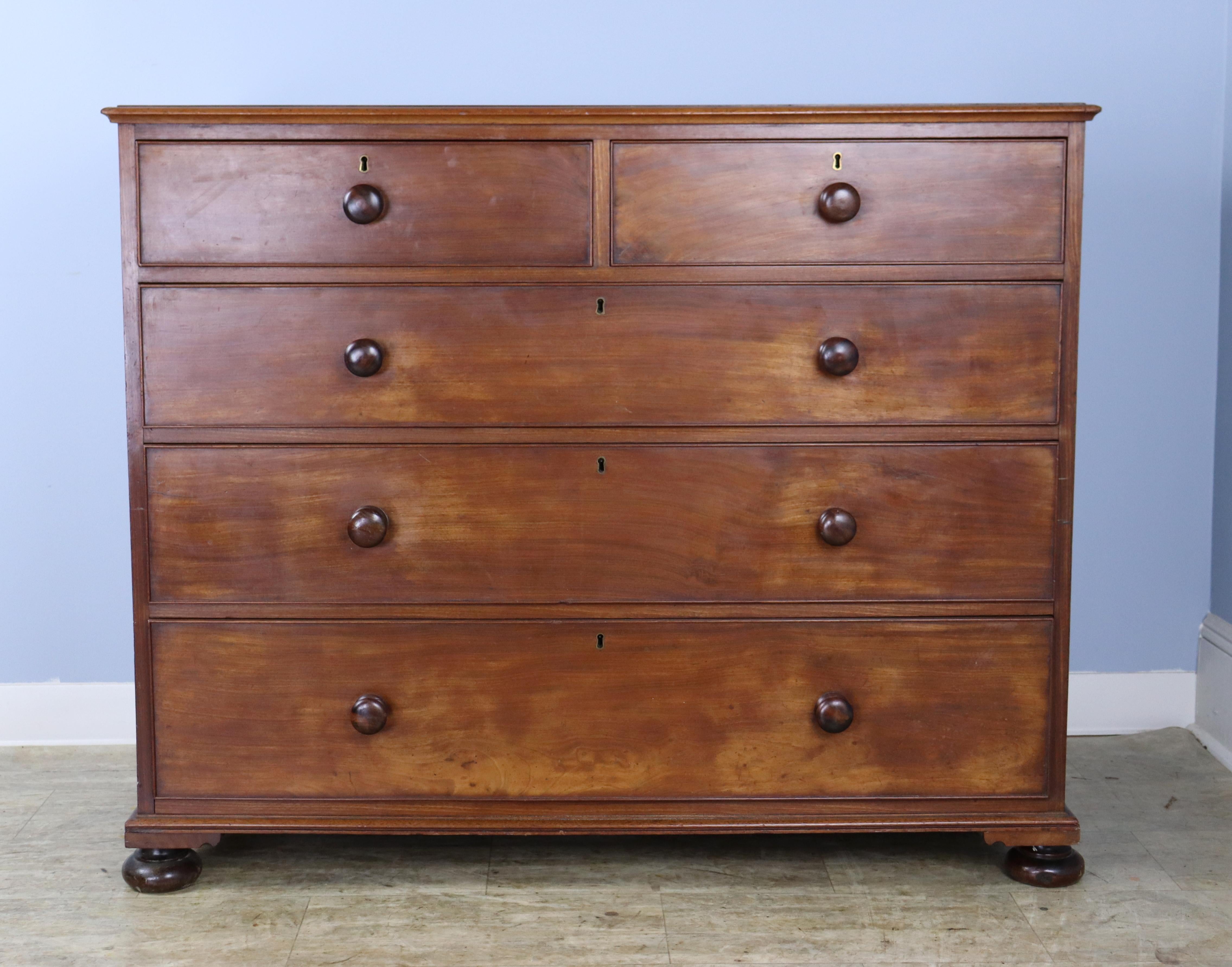 English Handsome Mahogany Chest of Drawers with Bun Feet For Sale