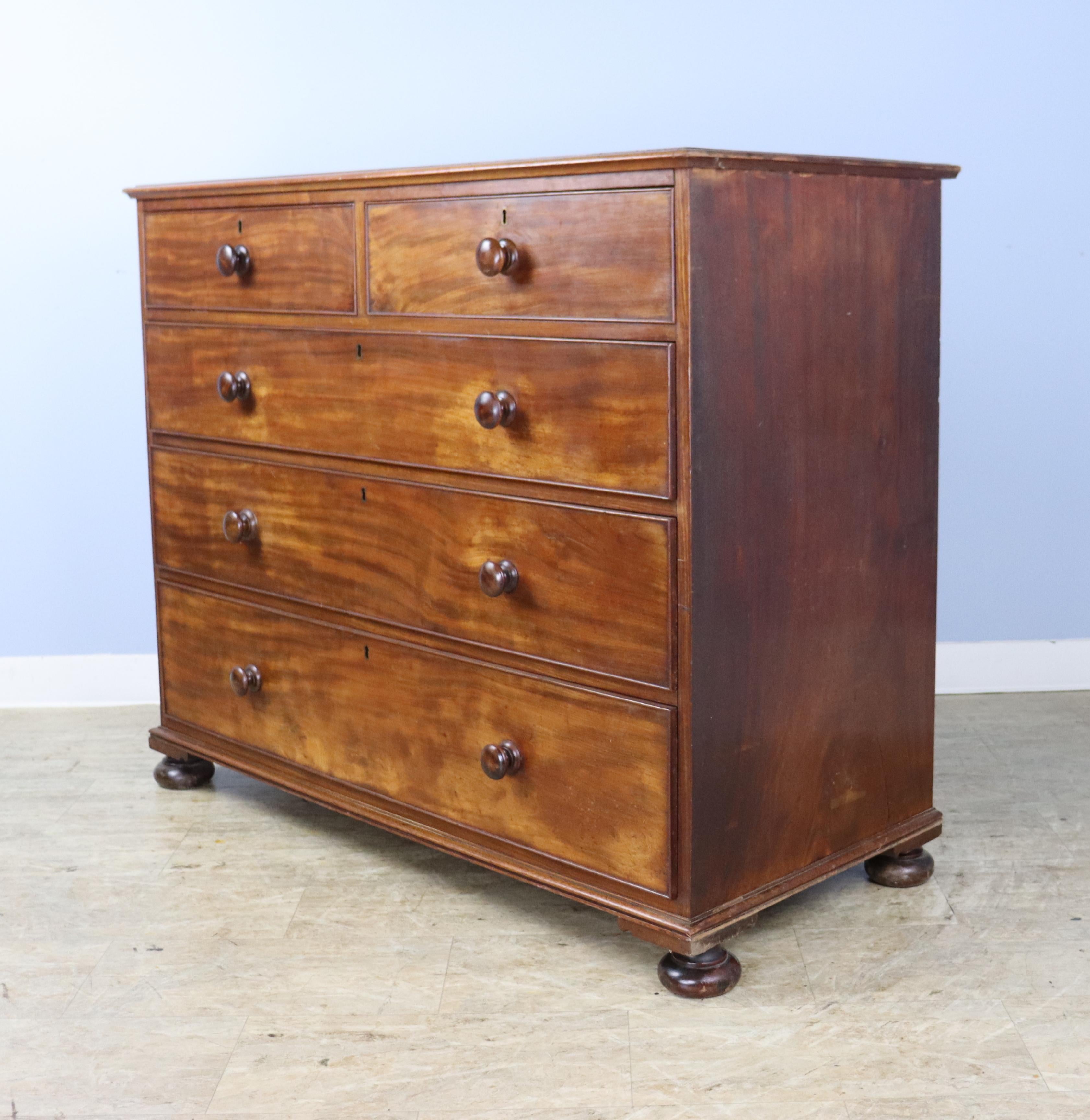 19th Century Handsome Mahogany Chest of Drawers with Bun Feet For Sale