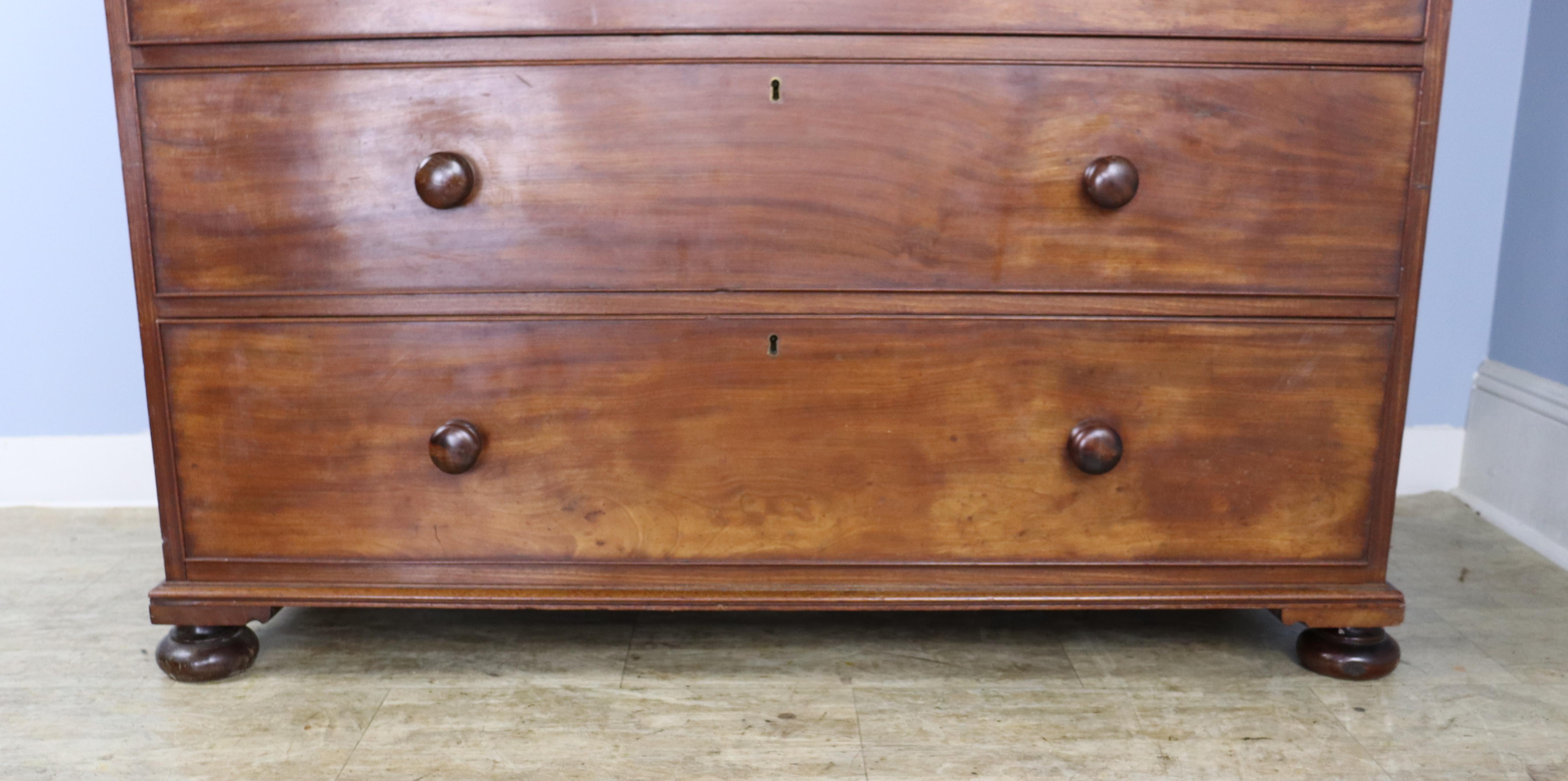 Handsome Mahogany Chest of Drawers with Bun Feet For Sale 2
