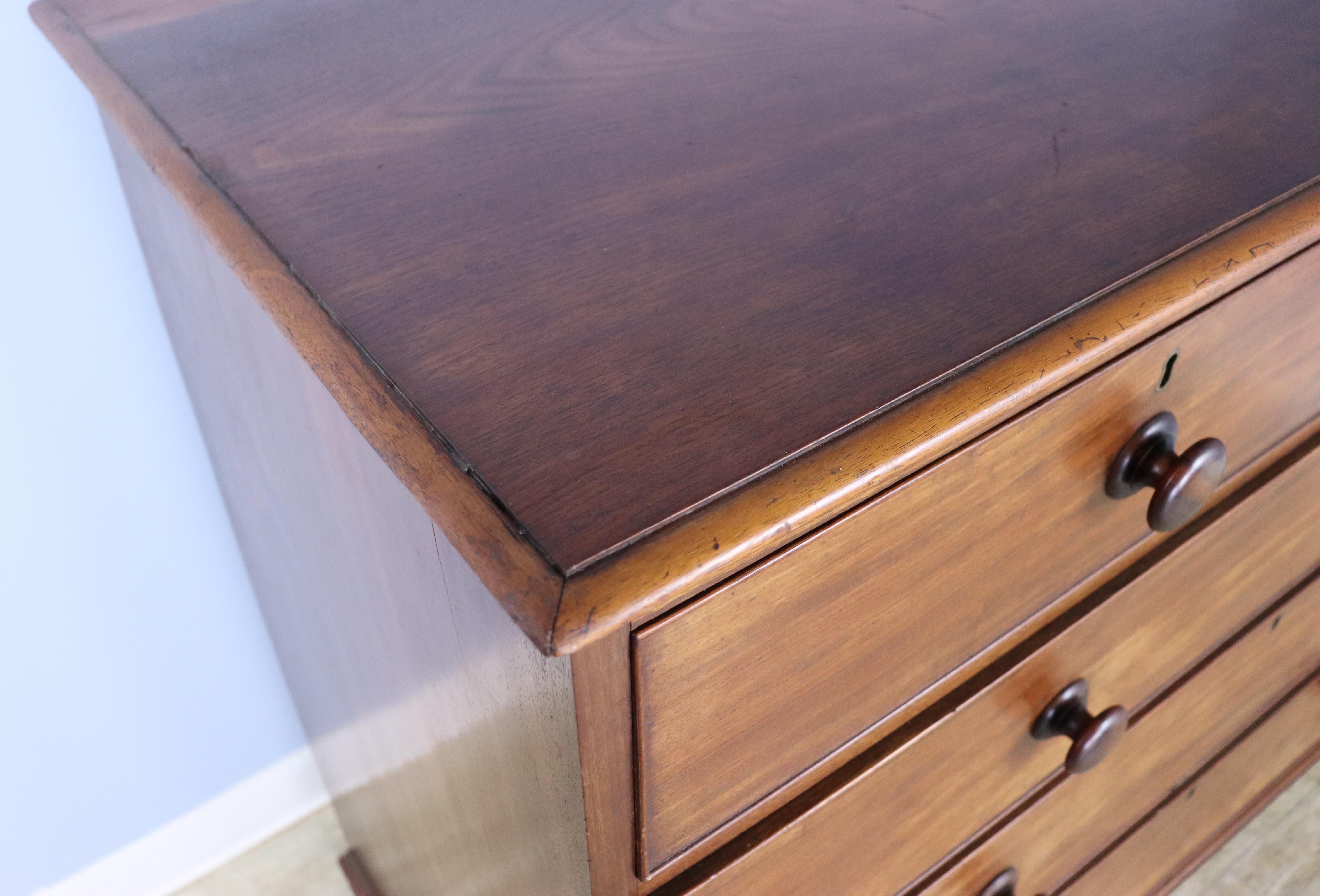 Handsome Mahogany Chest of Drawers with Bun Feet For Sale 3