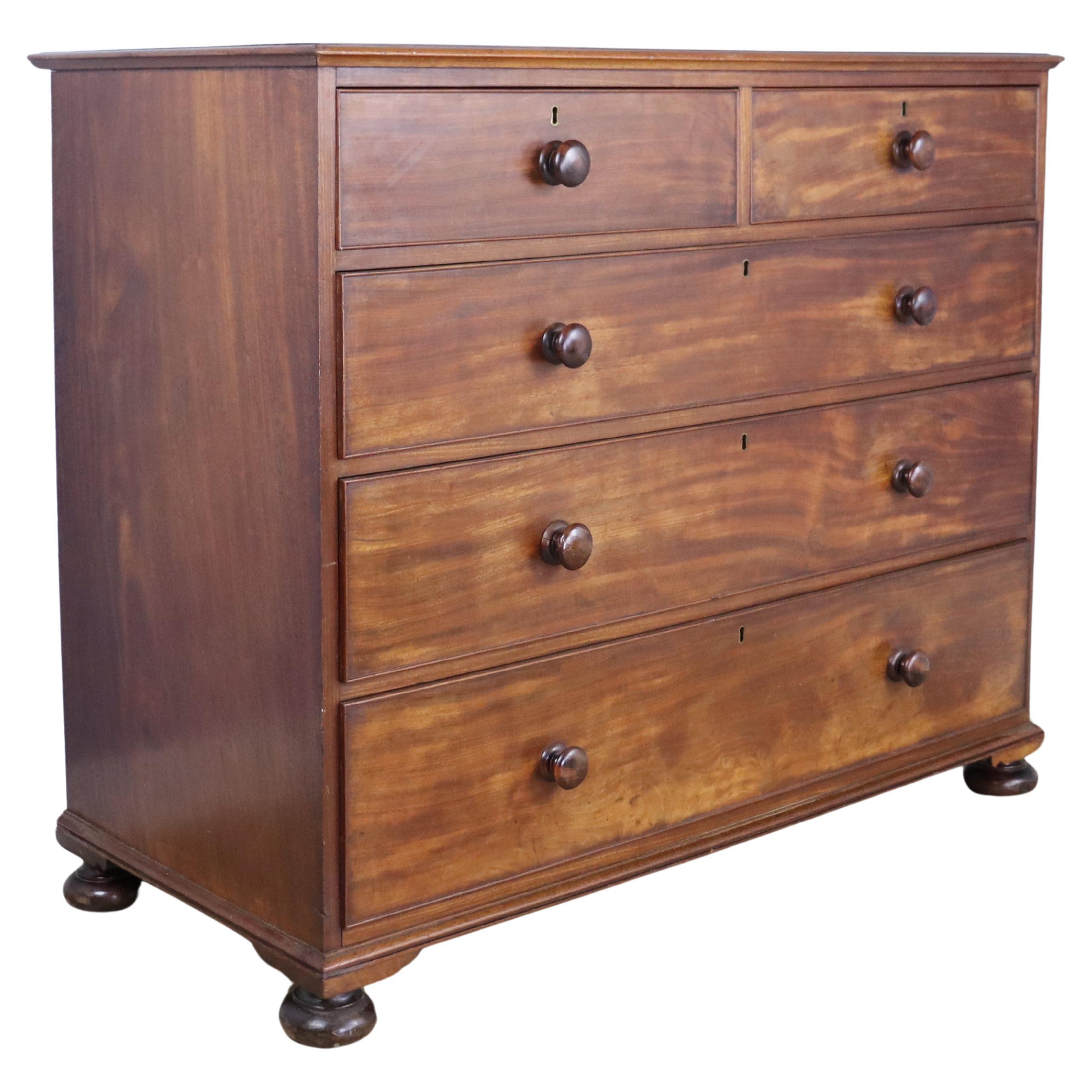 Handsome Mahogany Chest of Drawers with Bun Feet For Sale