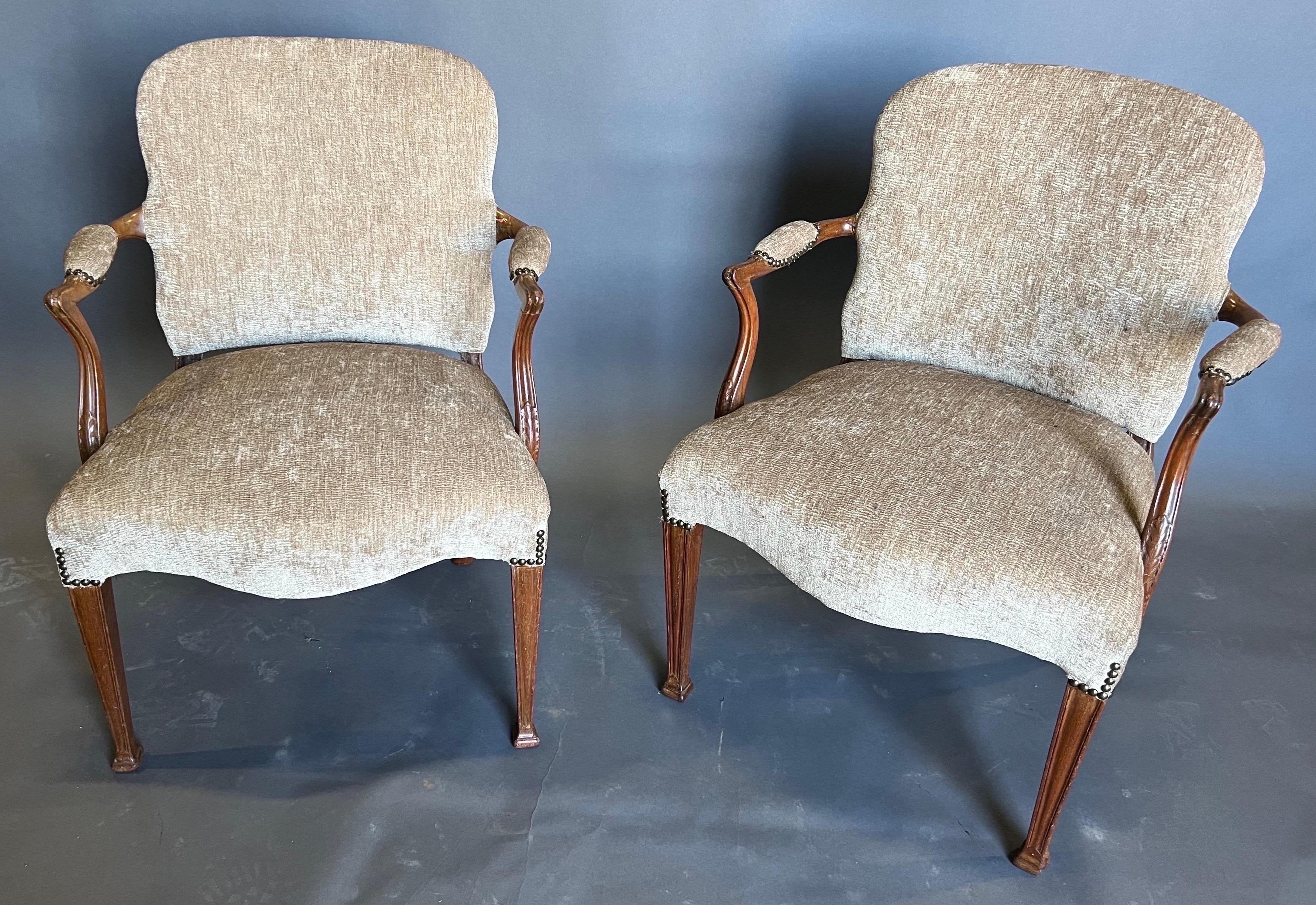 Sehr hübsches Paar Mahagoni-Sessel im georgianischen Stil des 19. Jahrhunderts mit konisch zulaufenden und geformten Beinen. Es sind 2 Paare verfügbar 