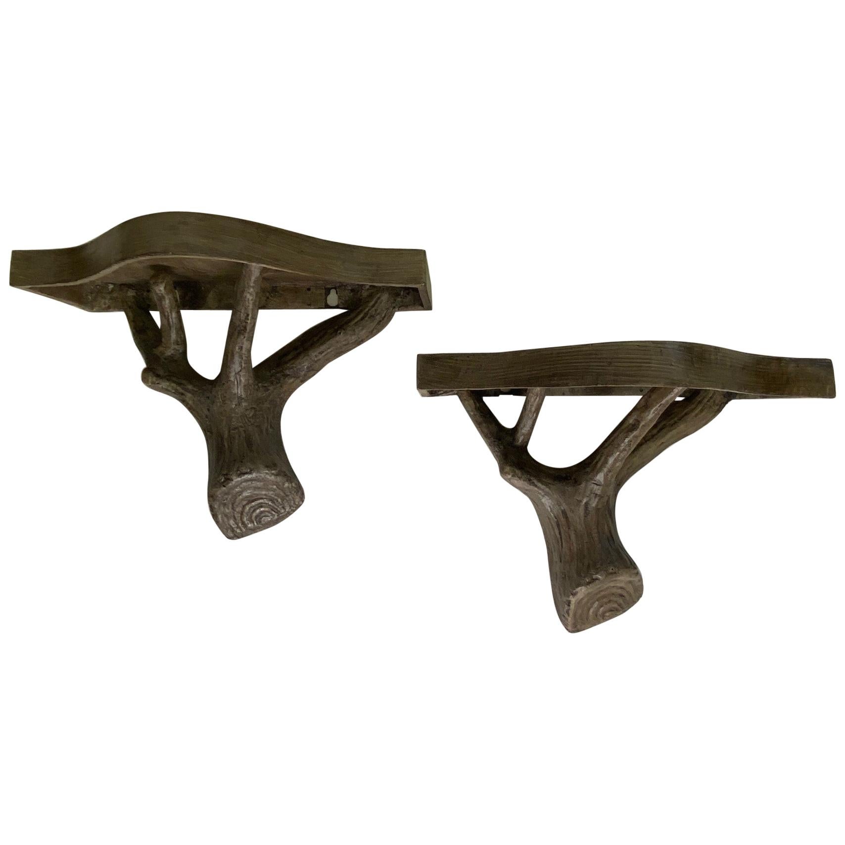 Handsome Pair of Organic Faux Bois Wall Brackets