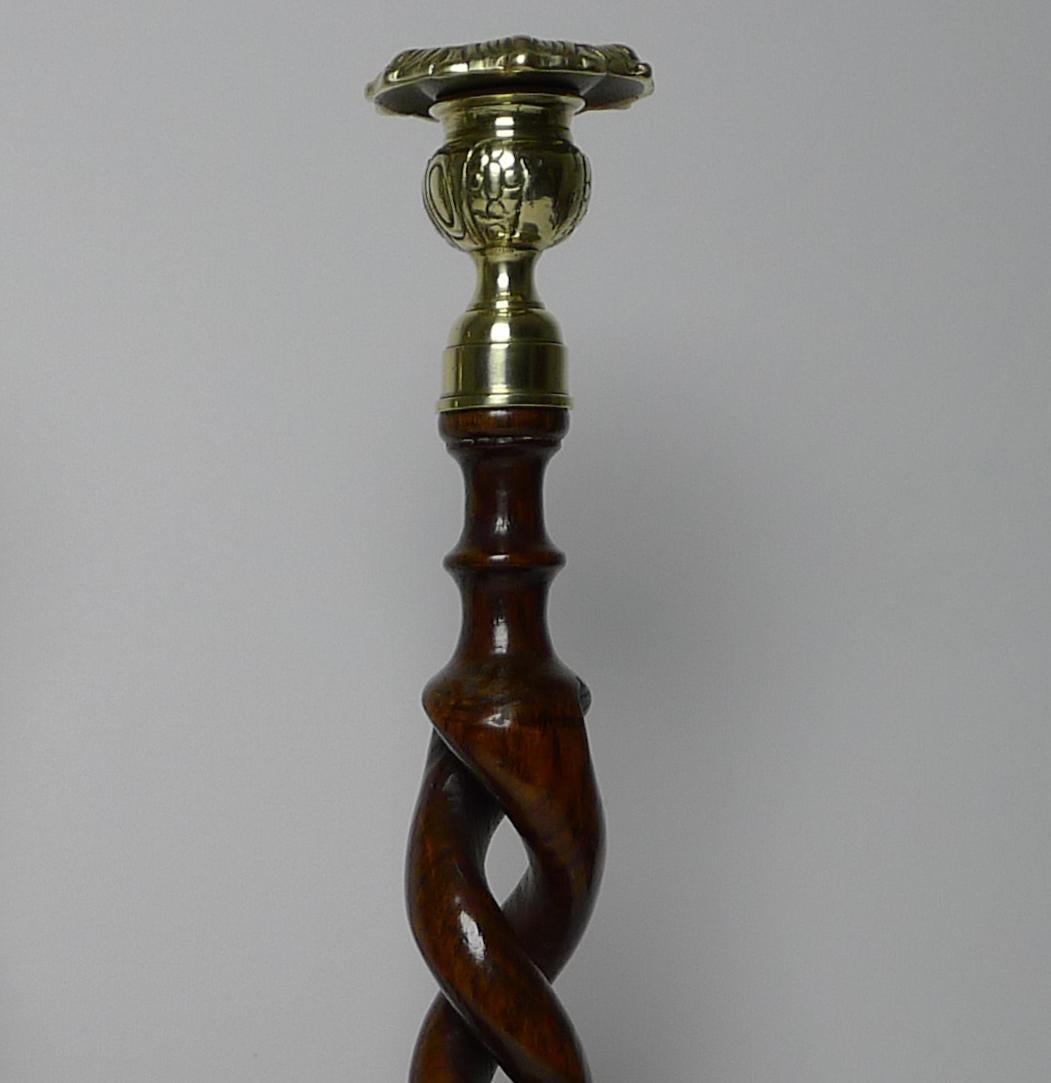 A fine towering pair of antique Oak candlesticks larger than most, skillfully hand-carved to create an open barley twist design.

The tops have decorative brass tops, a winning combination with the rich coloured Oak.

Excellent condition and