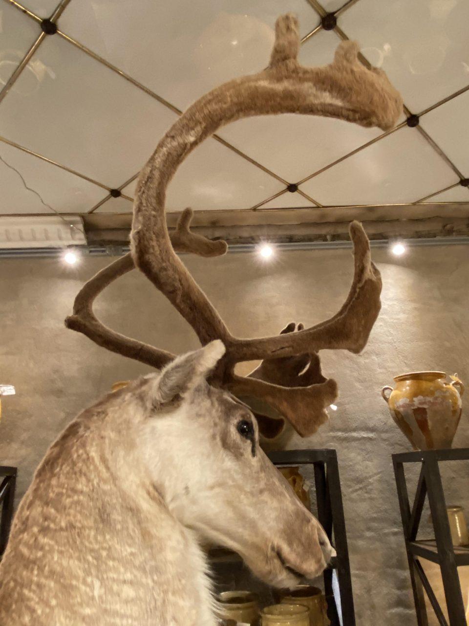 Late 20th Century Handsome Vintage Reindeer Head on Stand-France