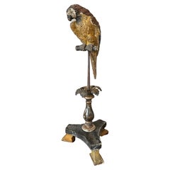 Handwork Wooden Parrot on an Old Metal Base