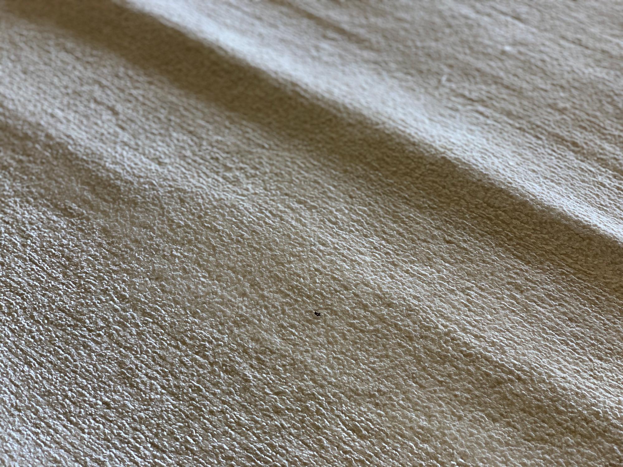 Handwoven Rug Plain Cream Indian Minimalist Carpet Wool Area Rug 1