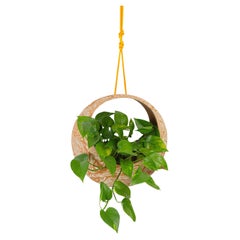 Hoopla Hanging Circular Marbled Clay Planter handcrafted in Valencia, Spain.