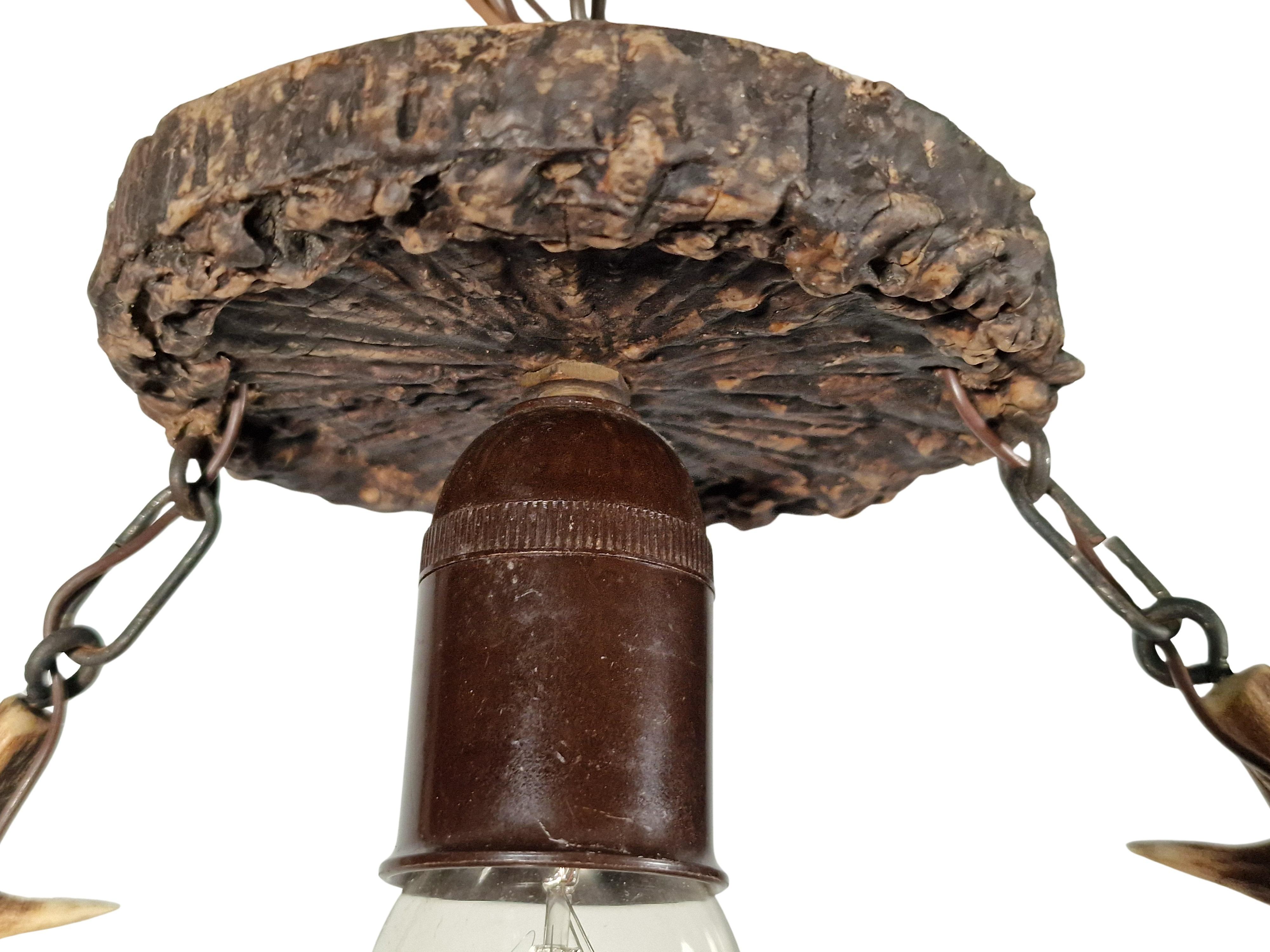 Lámpara colgante, araña, óptica de cuerno de ciervo, arte popular vagabundo, 1900, Austria Arte popular en venta