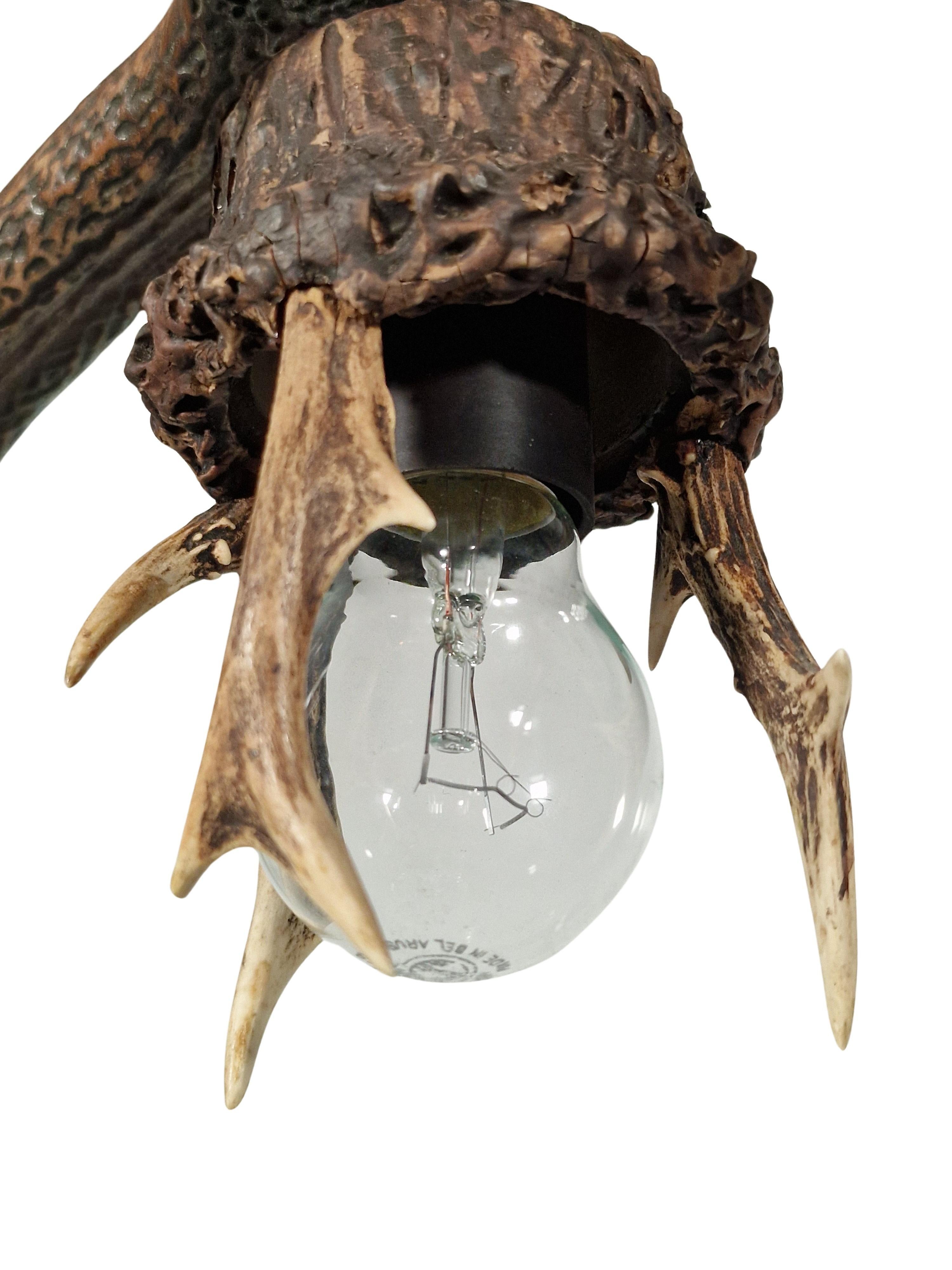 Lámpara colgante, araña, óptica de cuerno de ciervo, arte popular vagabundo, 1900, Austria Austríaco en venta