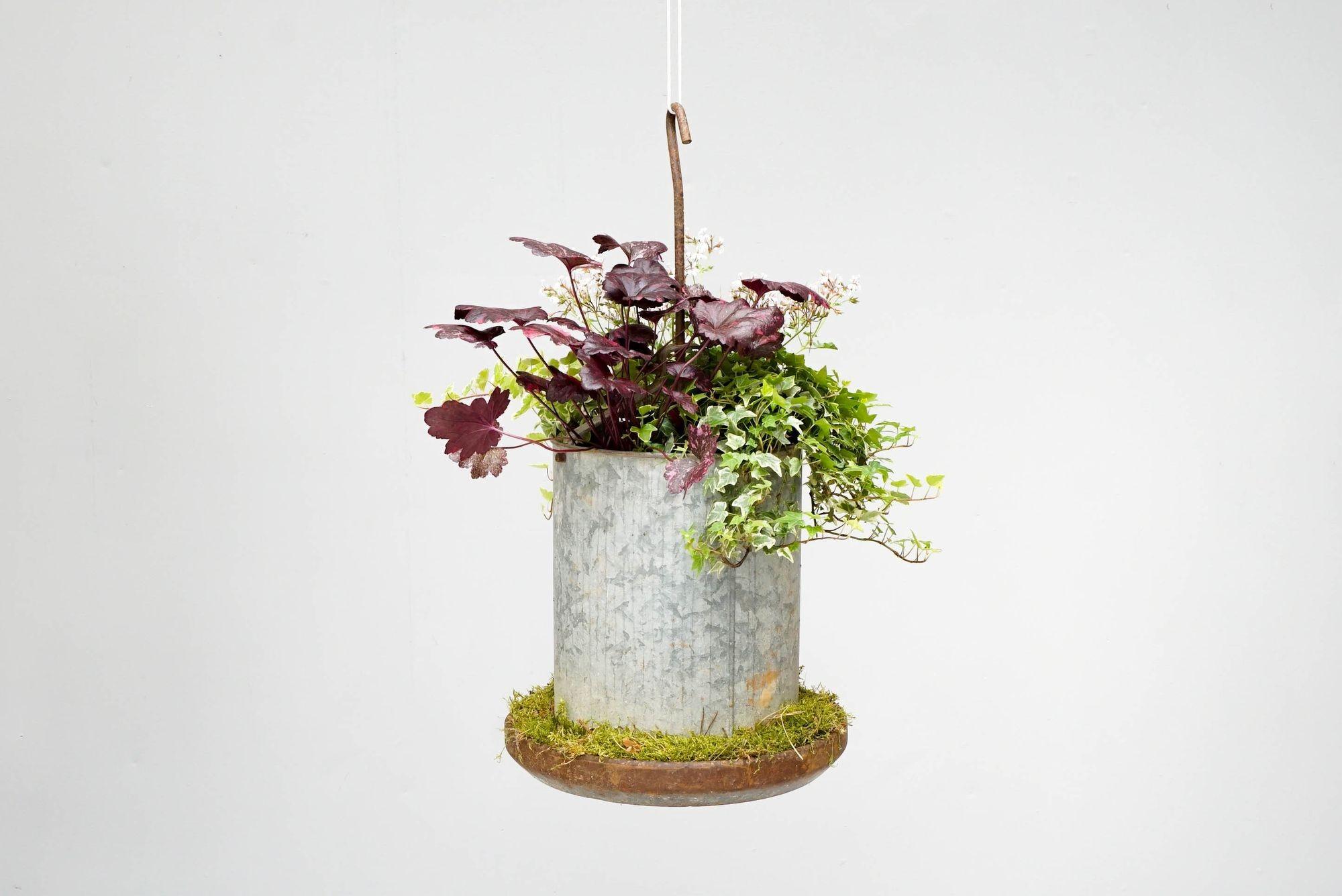 Zinc feeders re-purposed into hanging baskets / planters. Price for each planter, (19 available).

H 71cm x W 36cm x D 36cm

British Circa 1960