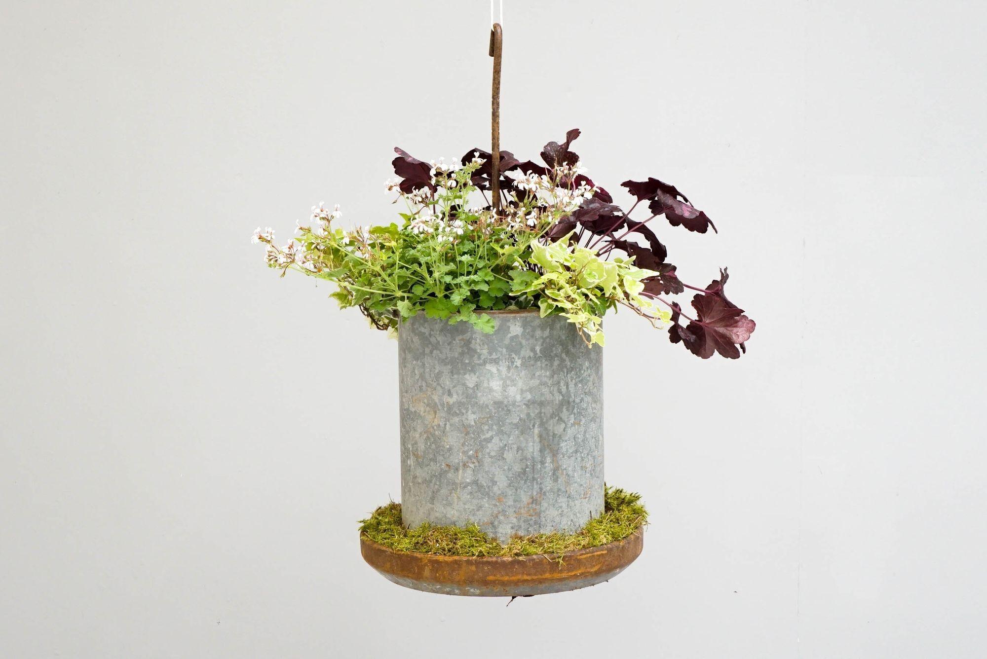 Hanging Planters In Excellent Condition For Sale In London, England