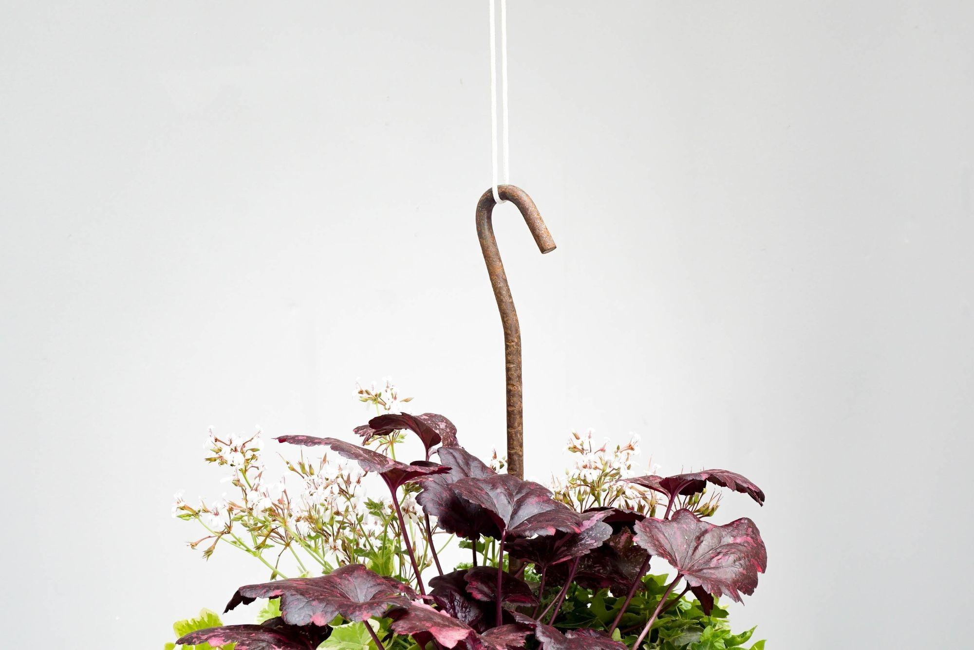 Mid-20th Century Hanging Planters For Sale