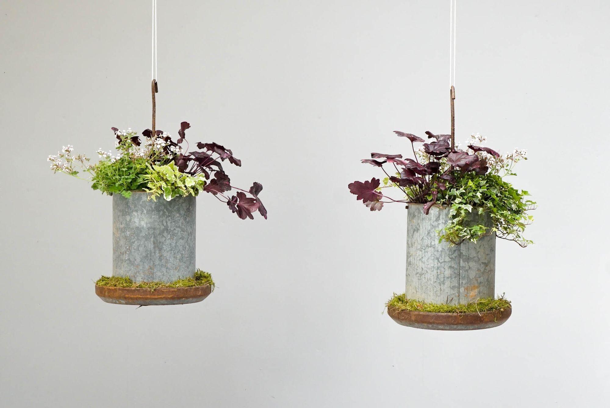 Hanging Planters For Sale 1