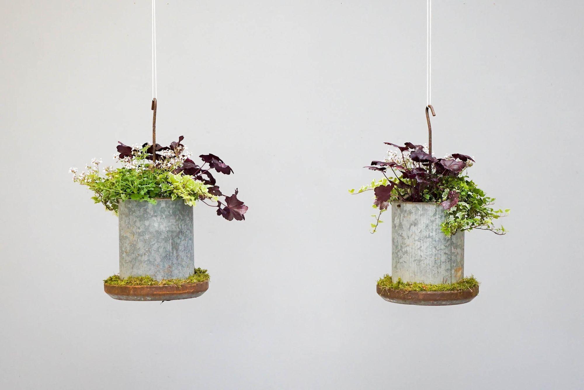 Hanging Planters For Sale 2