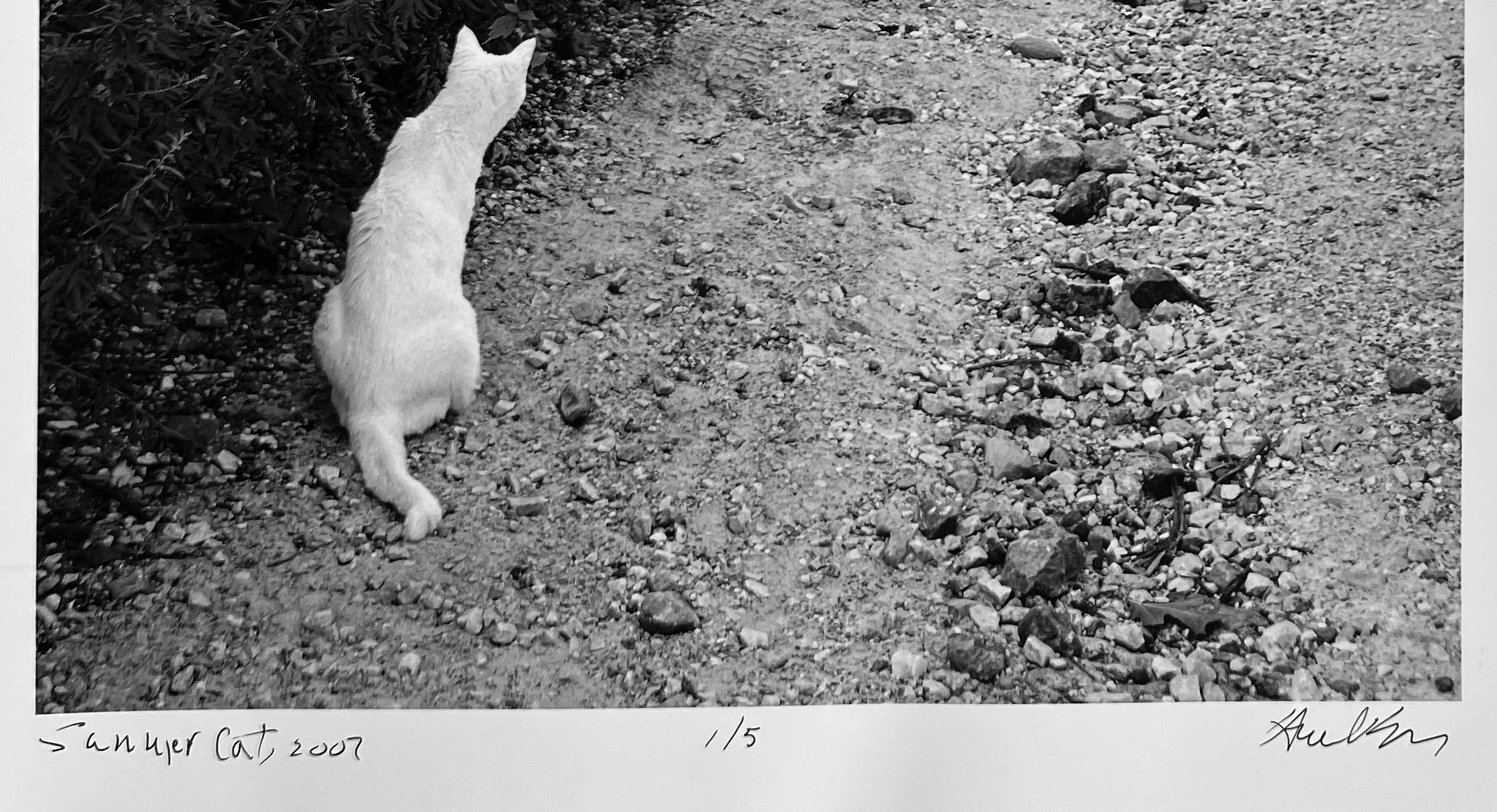 Chat d'été, Upstate New York, photographie documentaire de paysage en noir et blanc - Contemporain Photograph par Hank Gans