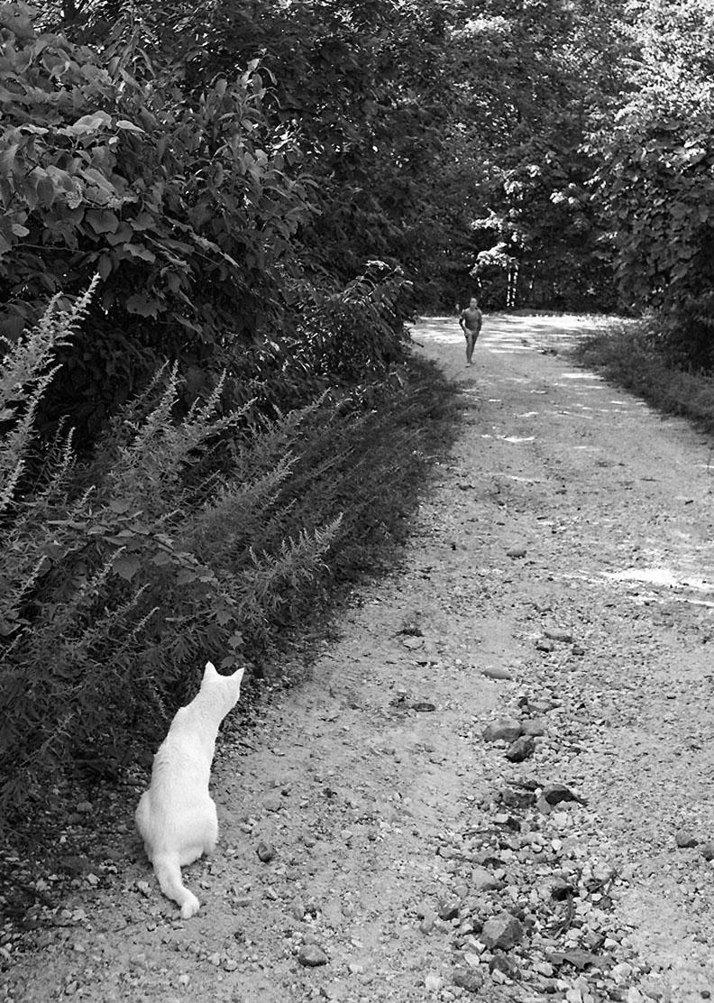 Landscape Photograph Hank Gans - Chat d'été, Upstate New York, photographie documentaire de paysage en noir et blanc