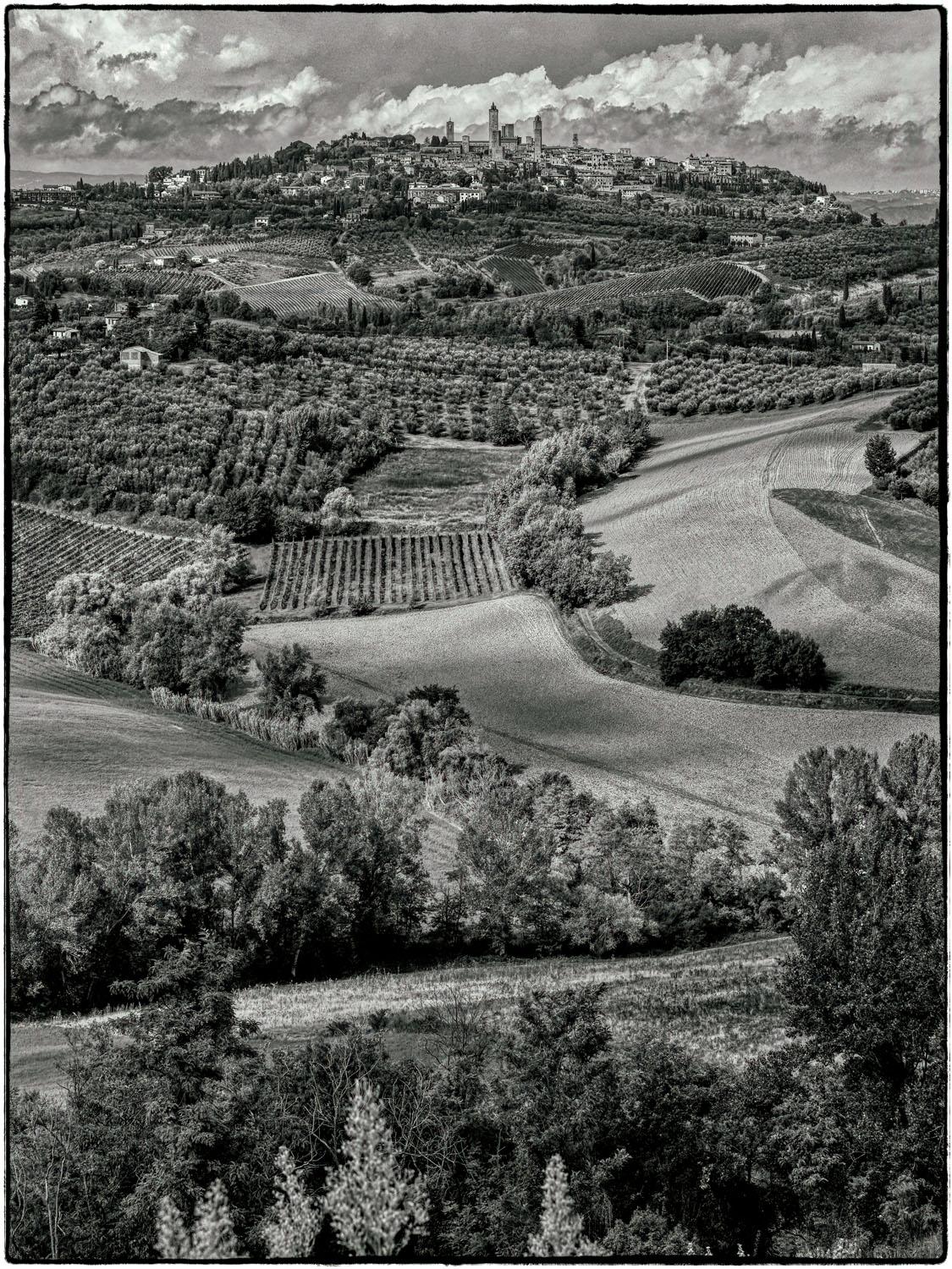 Vineyards, San Gimignano, Tuscany 2015 von Hank Gans ist eine 24" x 18" große Schwarz-Weiß-Landschaftsfotografie, die die Skyline der mittelalterlichen "Stadt der schönen Türme" auf einer Hügelkuppe in der Ferne und die örtlichen Weinberge einfängt.