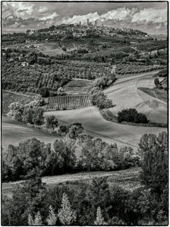 Vineyards, San Gimignano, Tuscany, Italy, Black-and-White Landscape Photography