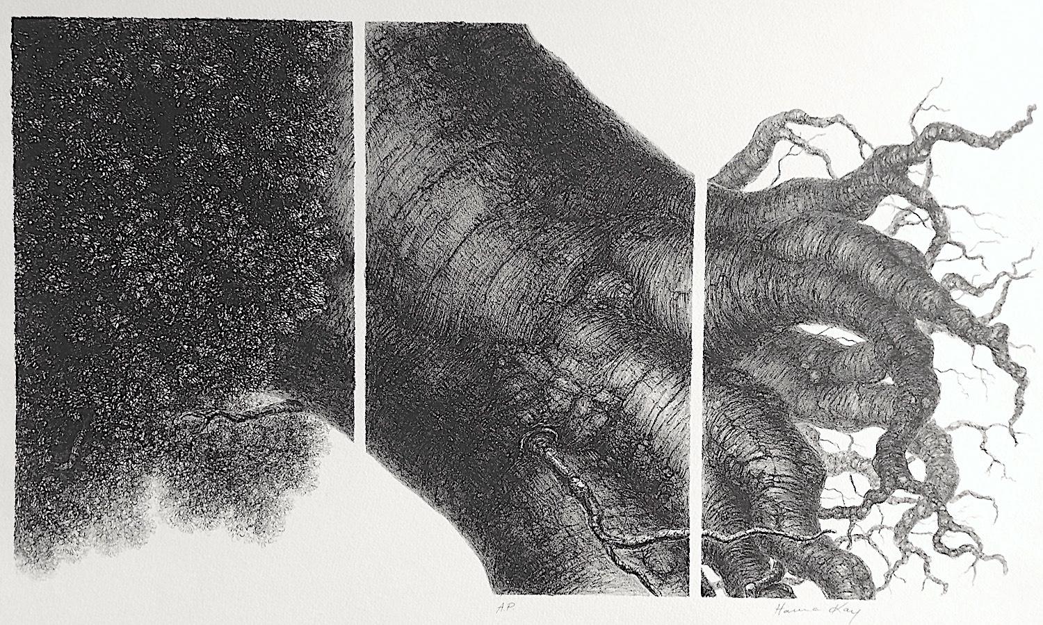 ÁRBOL PODEROSO I  Litografía firmada Stone, Retrato de árbol, Raíces, Dibujo surrealista - Print Surrealista de Hanna Kay
